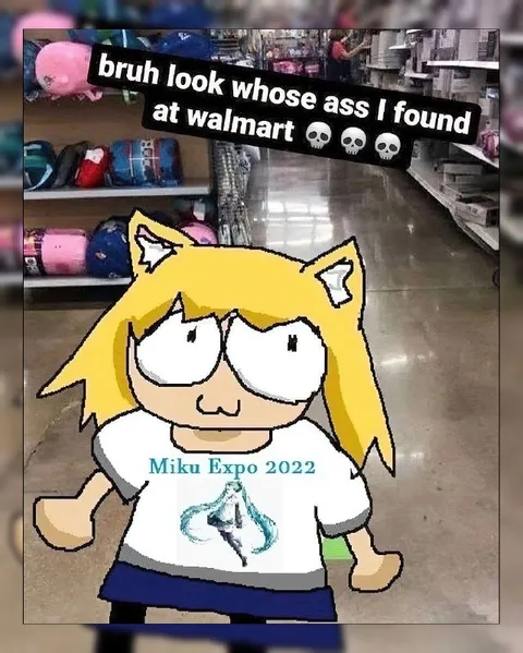 Miku Found at Walmart