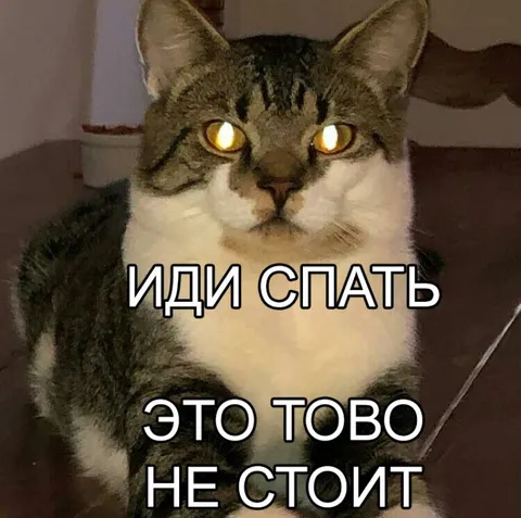 Иди спать, это того не стоит