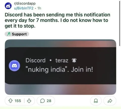 Seven Months of Discord Notifications