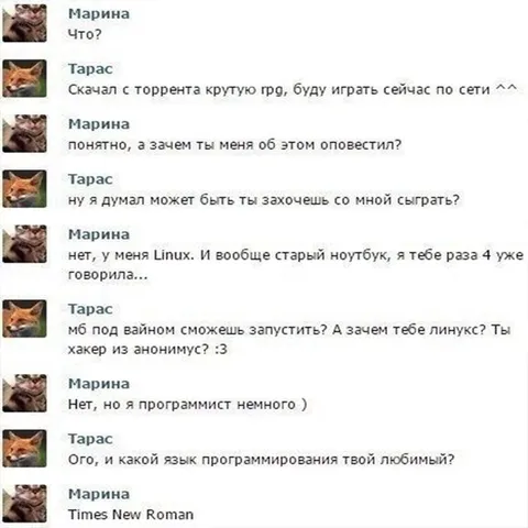 Любимый язык программирования — Times New Roman
