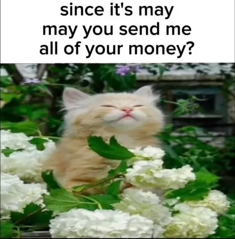 May You Send Me All Your Money