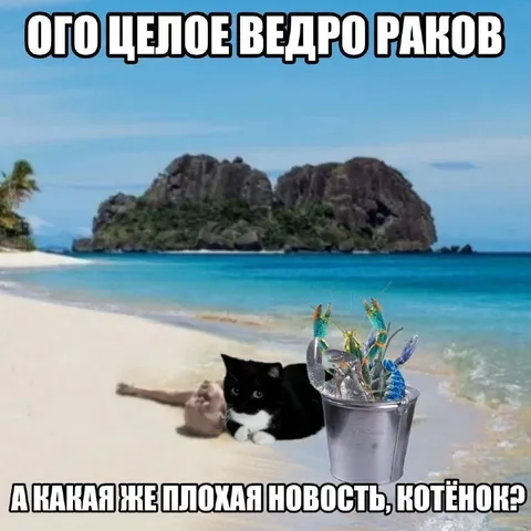 Целое ведро раков