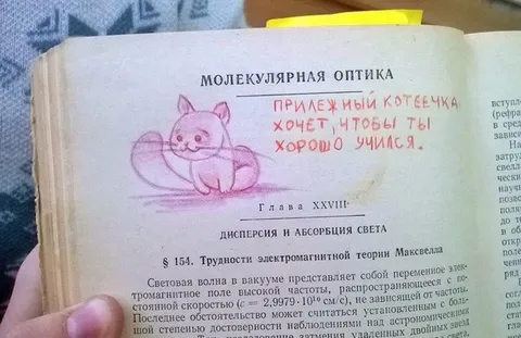 Прилежный котеечка хочет, чтобы ты учился