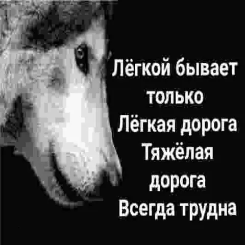 Лёгкая дорога всегда трудна