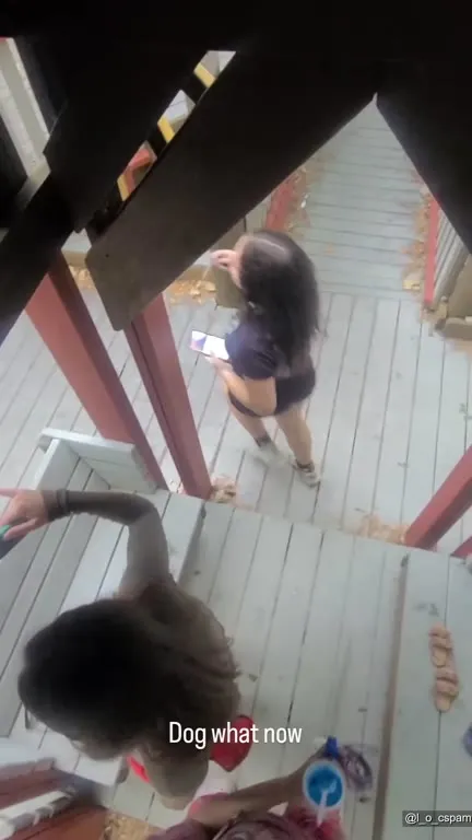 Dog What Now Under the Deck
