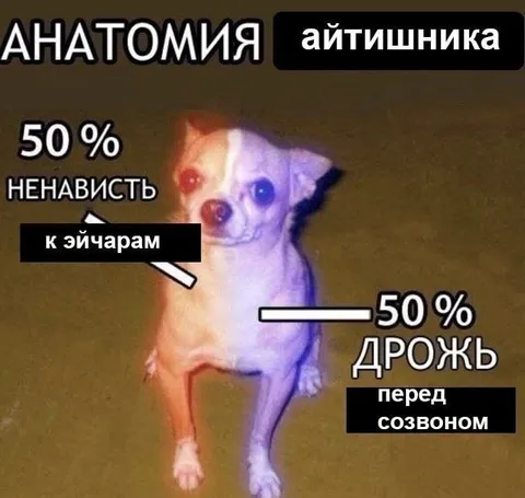 Анатомия айтишника перед созвоном