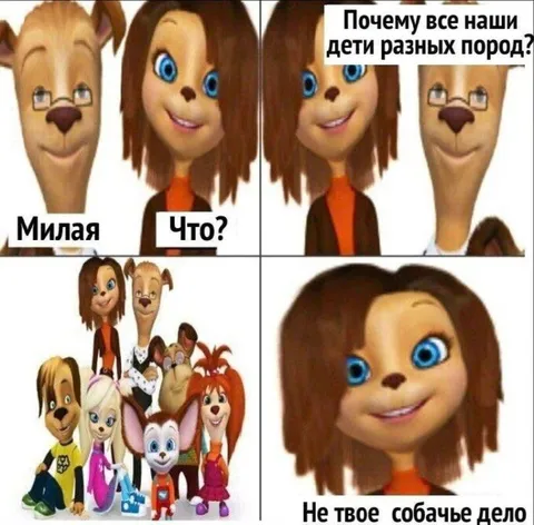 Не твоё собачье дело