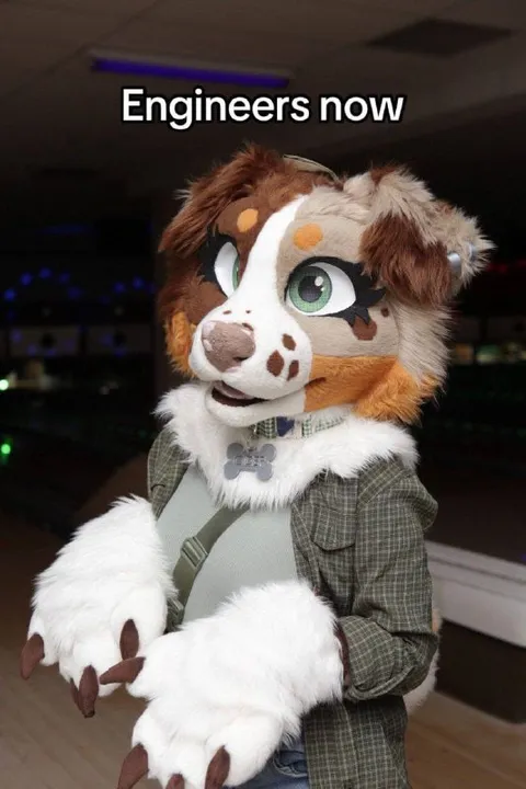 Engineers Now Furry Dog
