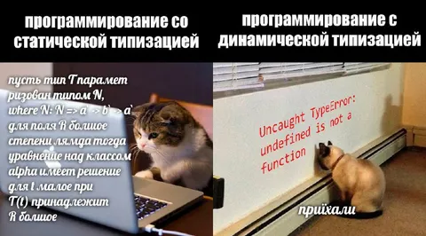 Статическая и динамическая типизация