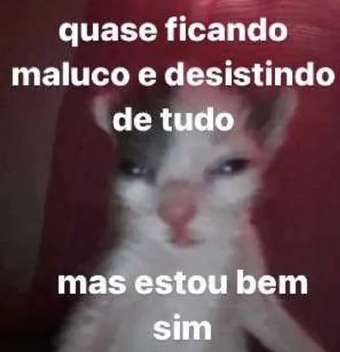 Quase ficando maluco