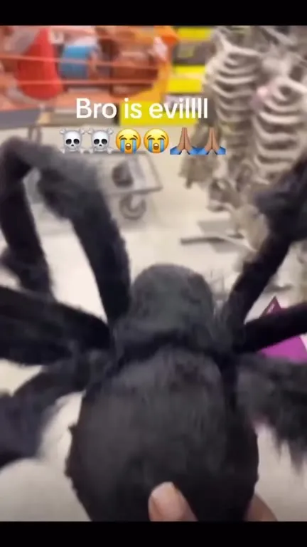 Evil Spider in the Shopping Cart
