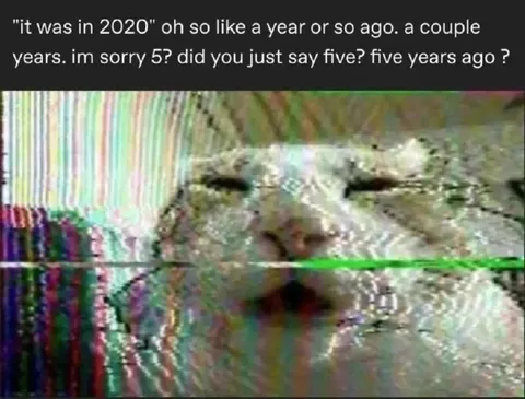 Five Years Ago Cat