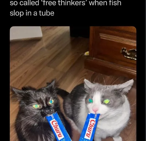 Free Thinkers When Fish Slop
