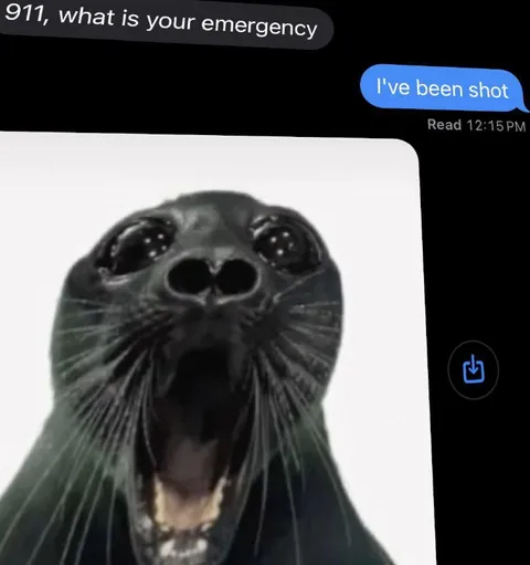 Screaming Seal Emergency