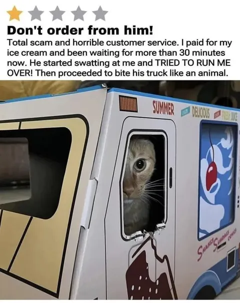 Cat Ice Cream Truck Review