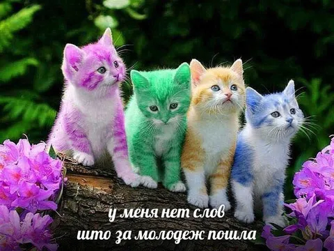 Что за молодежь пошла