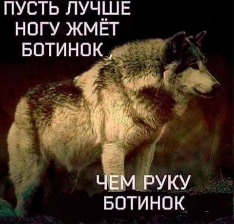 Пусть лучше ногу жмёт