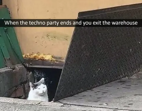 Cat Exits the Techno Warehouse