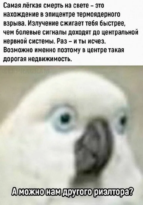 Другого риэлтора, пожалуйста
