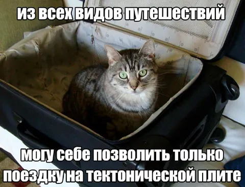 Кот путешествует на тектoнической плите