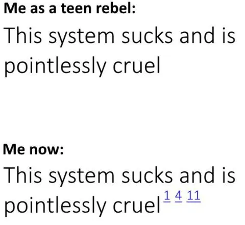 Teen Rebel Adds Citations