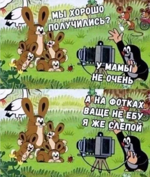 Слепой фотограф и кролики