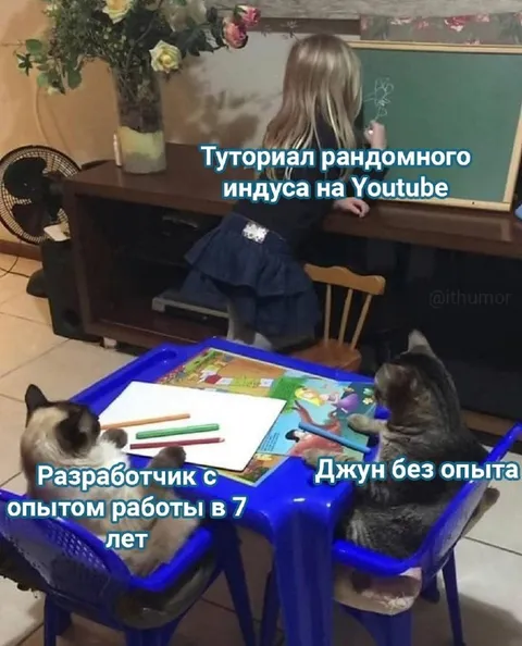 Разработчик с опытом и джун