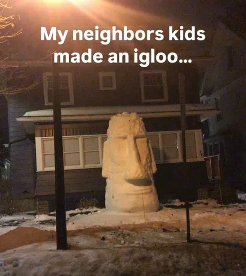 Neighbors’ Kids Made an Igloo