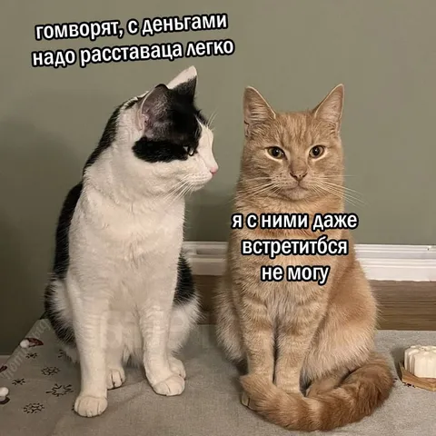 Кот не может расстаться с деньгами
