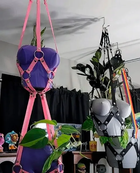 Растения в бондажных harness'ах