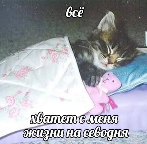 Хватит с меня жизни