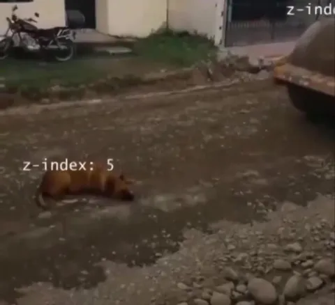 Dog Has Higher Z-Index