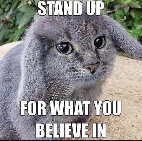Stand Up for What You Believe In