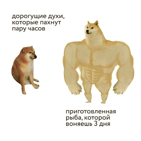 Дорогие духи против рыбы