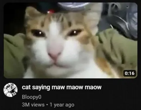 Размытый кот говорит мяу