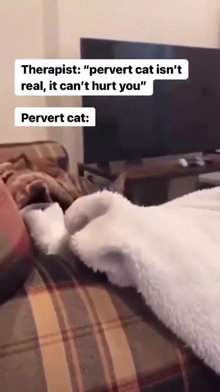 Therapist Says Pervy Cat Isn't Real