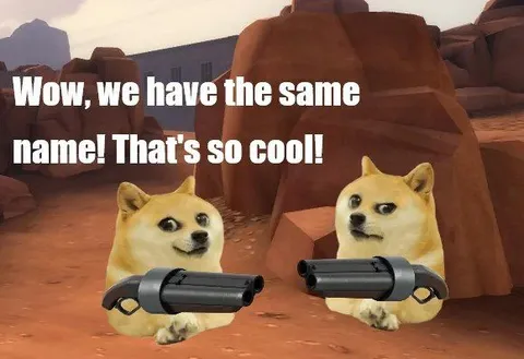 Same Name Doge Shotguns