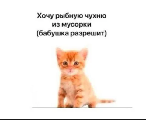 Котёнок хочет рыбную чухню