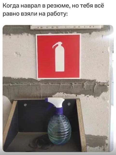 Взяли на работу несмотря ни на что