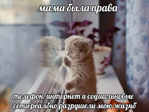 Мама была права про интернет