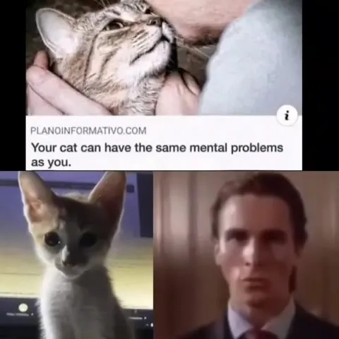 Your Cat Has Mental Problems