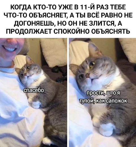 Когда объясняют в одиннадцатый раз