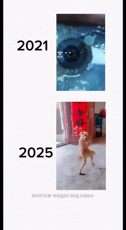 Что будет в 2025 году