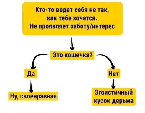 Кошечка или эгоистичный кусок дерьма