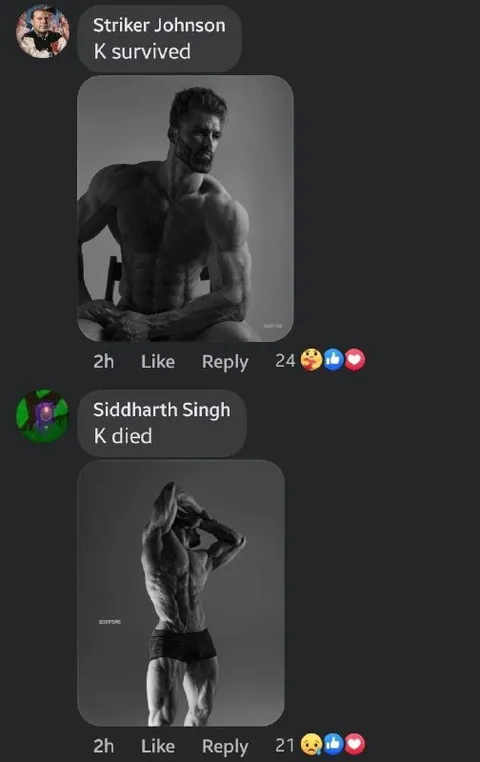K Survived K Died