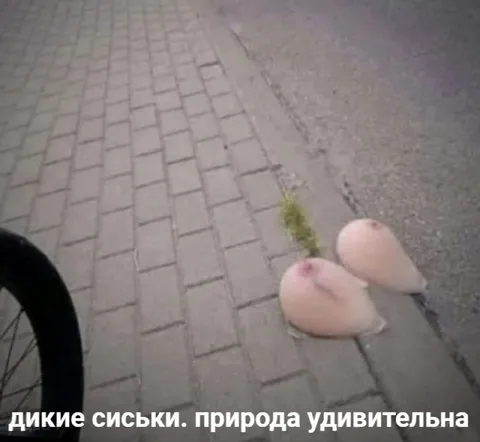 Дикие сиськи на тротуаре