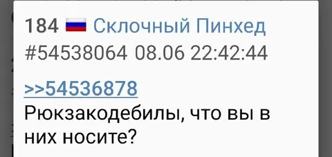 Что носят рюкзакодебилы