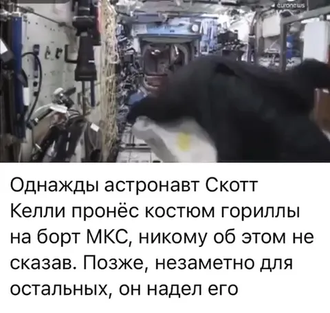 Костюм гориллы на МКС