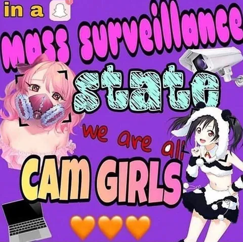 Mass Surveillance State Cam Girls