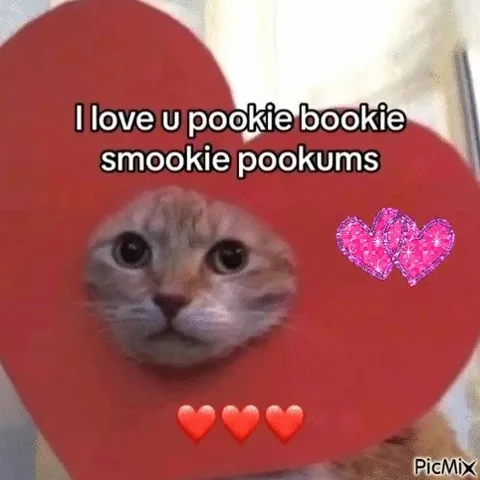 I Love U Pookie Bookie
